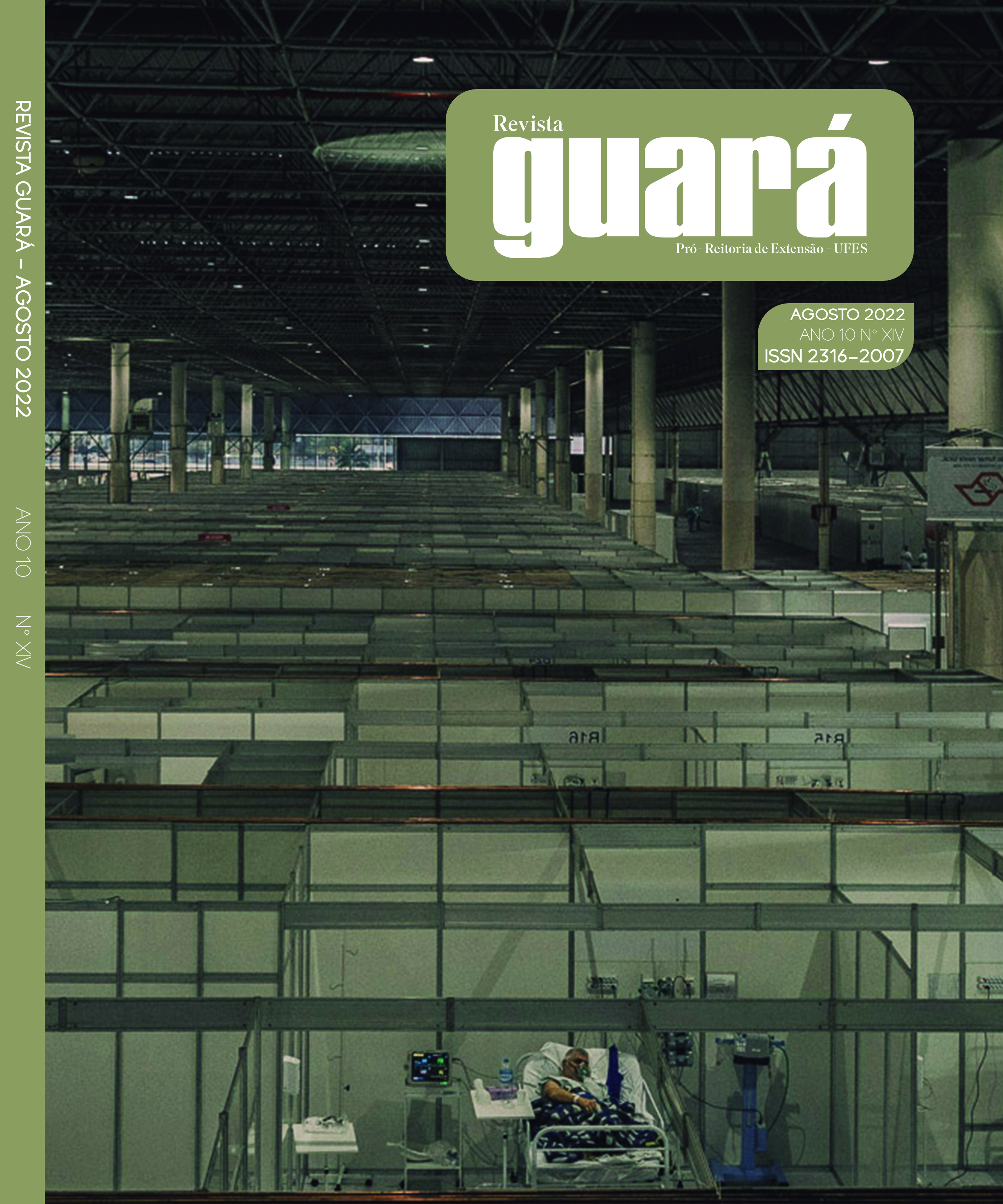 					Visualizar n. 14 (2022): Revista Guará
				