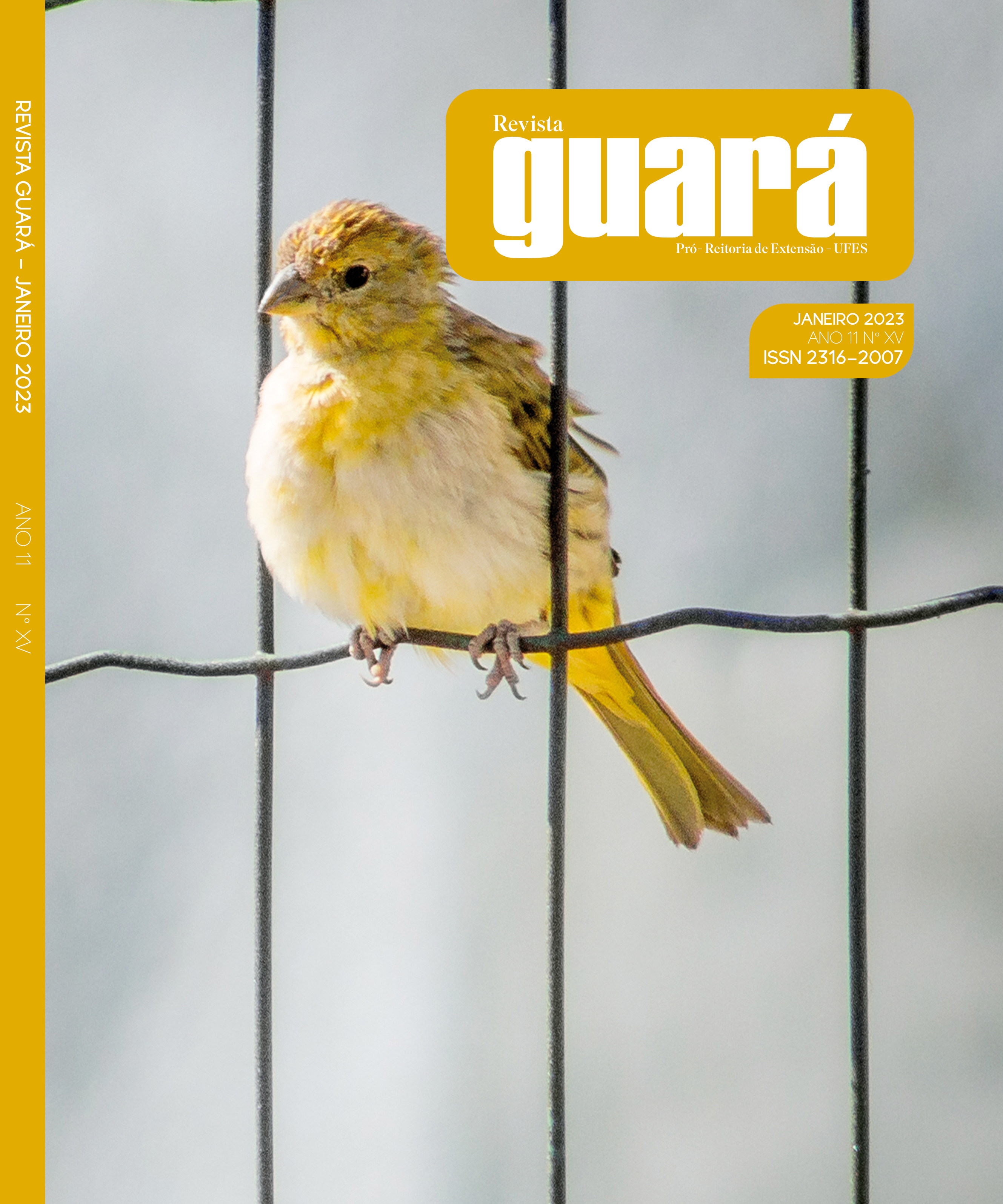 					Visualizar n. 15 (2023): Revista Guará
				