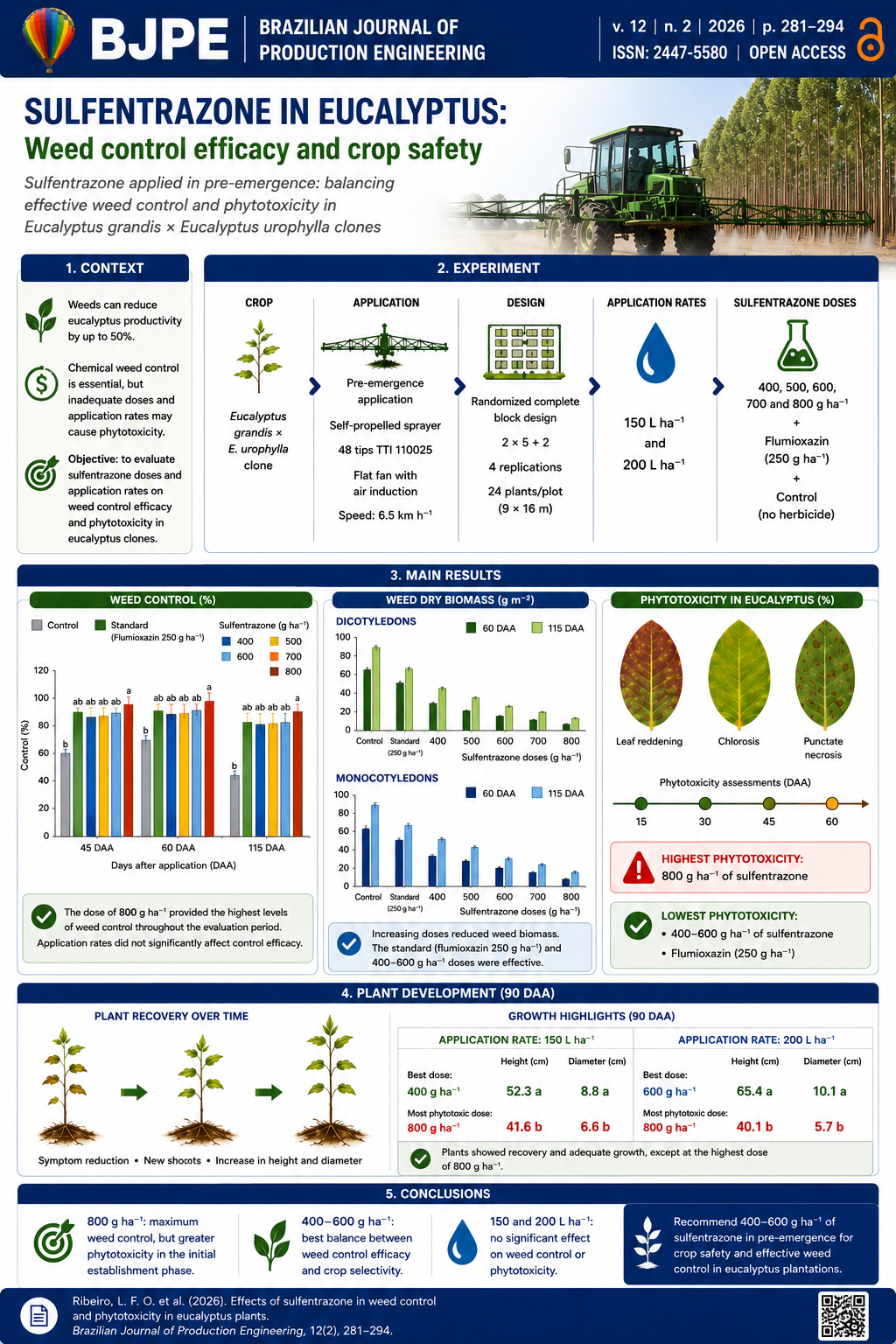 Cover image for the article "Effects of Sulfentrazone on Weed Control and Phytotoxicity in Eucalyptus Plants." The image shows an upward view of a eucalyptus plantation, with tall trunks and green canopies against a blue sky, symbolizing forest management, weed control practices, and the assessment of herbicide effects on the growth and health of eucalyptus trees.